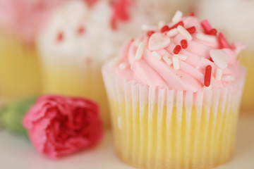 A pink cupcake with vanilla cake and sprinkles on top with a pink rose on the side.