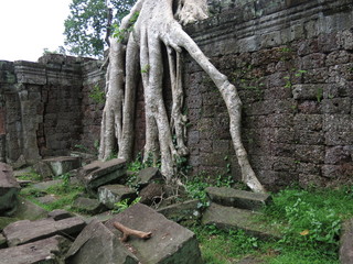Preah Kahn temple, Cambodia
