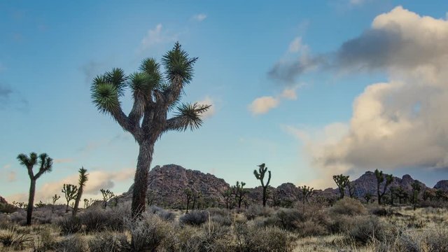 Storm Rolls Into Joshua Tree Tme lapse during an El Nino year