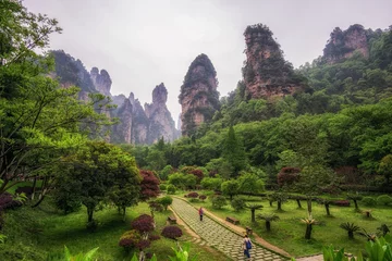 Foto op Canvas yuanjiajie national forest park © aaron90311