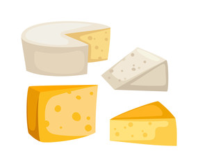 Cheese slices isolated vector