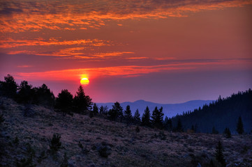 Sunrise on Custer National Forest