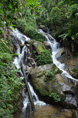 Waterfall river green tree