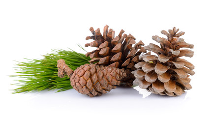 Fototapeta premium Pine cones isolated on white background