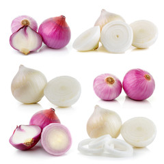 onion on white background