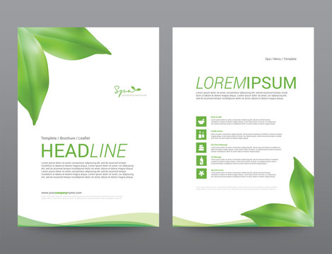 Spa Wellness Medical topic Template elements, Presentation, brochure