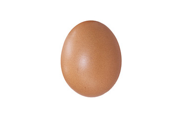 The egg on white background