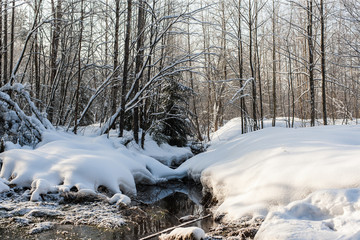 coast of river in the winter