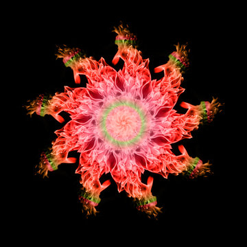 rowel of colorful fire flame on black