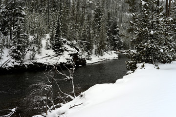 Yellowstone Winter Snow Madison River