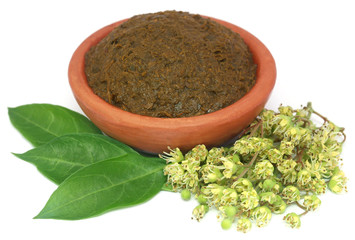 Ayurvedic henna leaves with flowers and paste