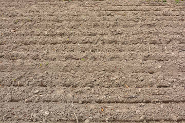 plowed land for planting