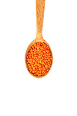 Red lentils in the wooden spoon on a white background