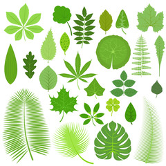 Leaves set vector illustration.
