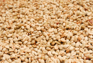 Unroasted coffee beans