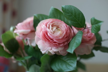 Букет розовых ранункулюсов
