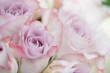 Fototapeta na wymiar Pink roses decoration. Bouquet of pink roses. Wedding floral arrangement.