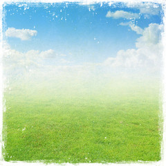 green grass field , nature background