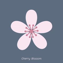 cherry blossom logo vector