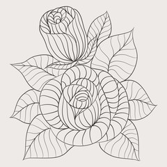 rose flower vector