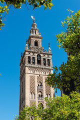 Fototapeta na wymiar Tower and spire of The Giralda in Seville