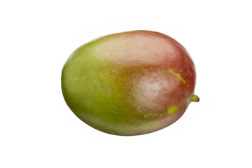 mango fruit