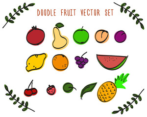 hand-drawn (doodle) fruit