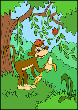Littke cute monkey eats banana in the forest.