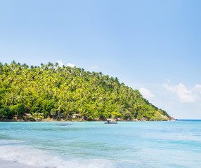 Tropical forest, sea coast and mountains