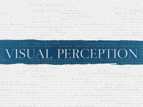 Visual perception