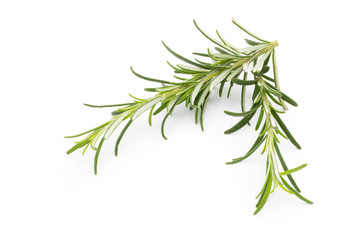 Rosemary twig on the isolated white background.