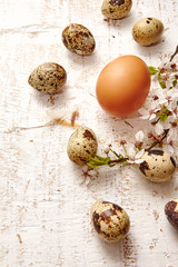 Spring easter composition with eggs and flowers on a white background old wooden