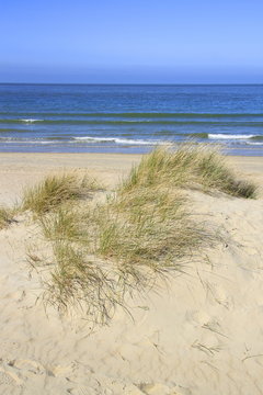 D&uuml;nen und Meer bei Renesse