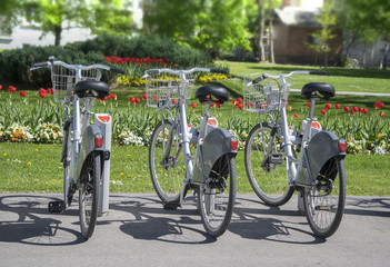 Fototapeta na wymiar City bicycles for rent parked