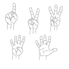 Set of hands counting one to five inner side
