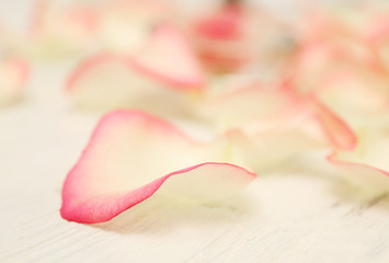 Spa concept. Flower petals on white wooden background, close up