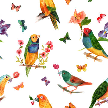 Seamless background pattern with watercolor birds and butterflies