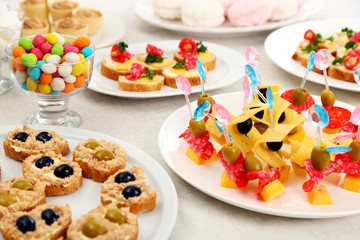 Set of cold snacks and canape, closeup
