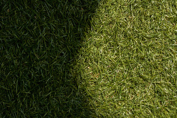 Green grass texture background, sunlight causes shadows.