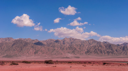 The lofty mountains of Edom - the land of the biblical Esau, are towering over the plain of the Arava.  Reddish silt at the mouth of the valley.