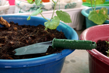 A Gardening Trowel