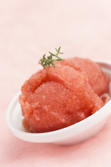 Watermelon sorbet