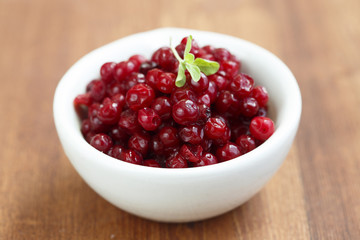 Lingonberry