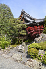 Fototapeta premium 松尾大社