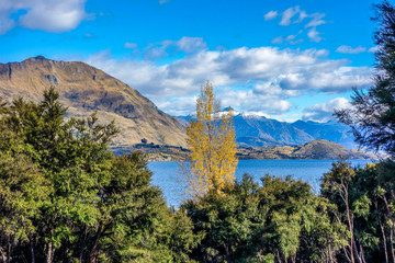 New Zealand - Wanaka Lake