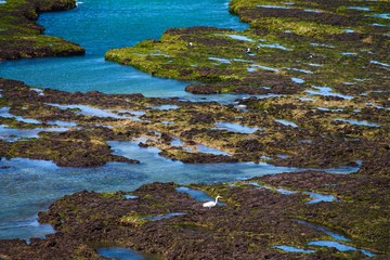 Puerto Madryn - Peninsula Valdes con leoni marini