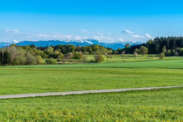 Alpenblick gesehen von Dorfen bei Wolfratshausen