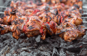 Close up shot of appetizing hot shish kebab with tomatoes on metal skewers prepares on the coals outdoors. Grilling shashlik on barbecue grill.
