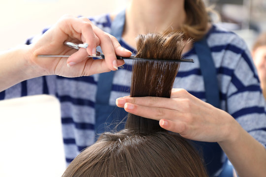 Professional hairdresser cutting clients hair