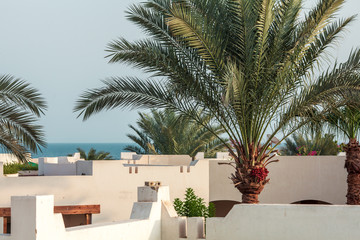 Fototapeta na wymiar luxury Egyptian hotel with palm trees and blue sky